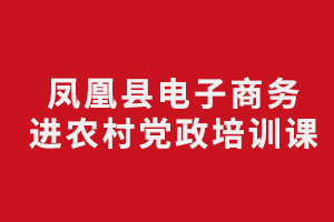 凤凰县电子商务进农村党政培训课