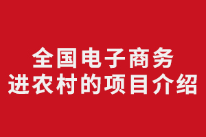 全国电子商务进农村的项目介绍