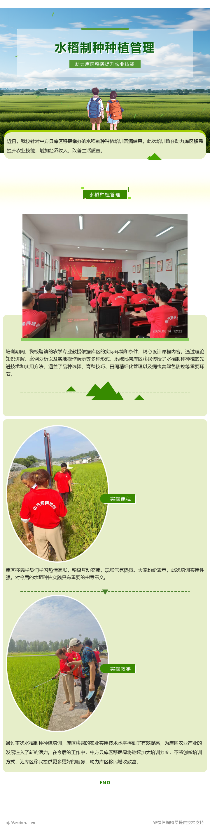 桐坪培训文章.png